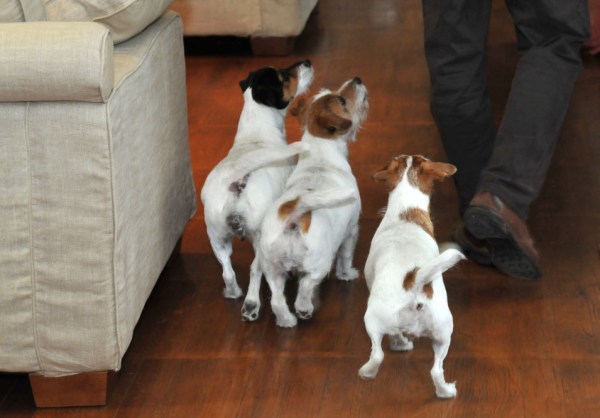 Andrea e le sue amiche